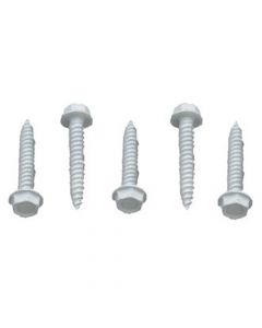 1" Hex Screw White 100 Box