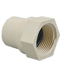 CPVC 3/4" Female Adapter